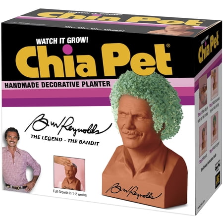 Chia Pet - Burt Reynolds - Decorative Planter