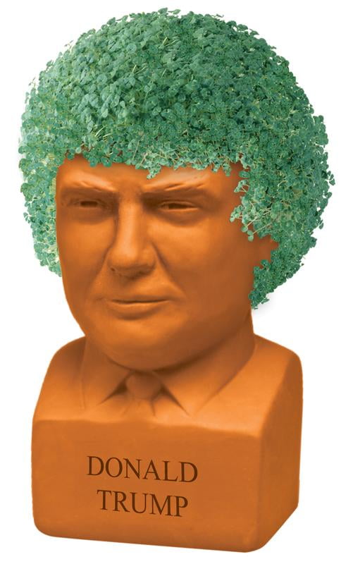 AS SEEN ON TV President Donald Trump Chia Pet Handmade Decorative Planter by JEI
