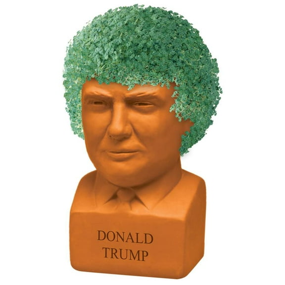 President Donald Trump Chia Pet Handmade Decorative Planter by JEI