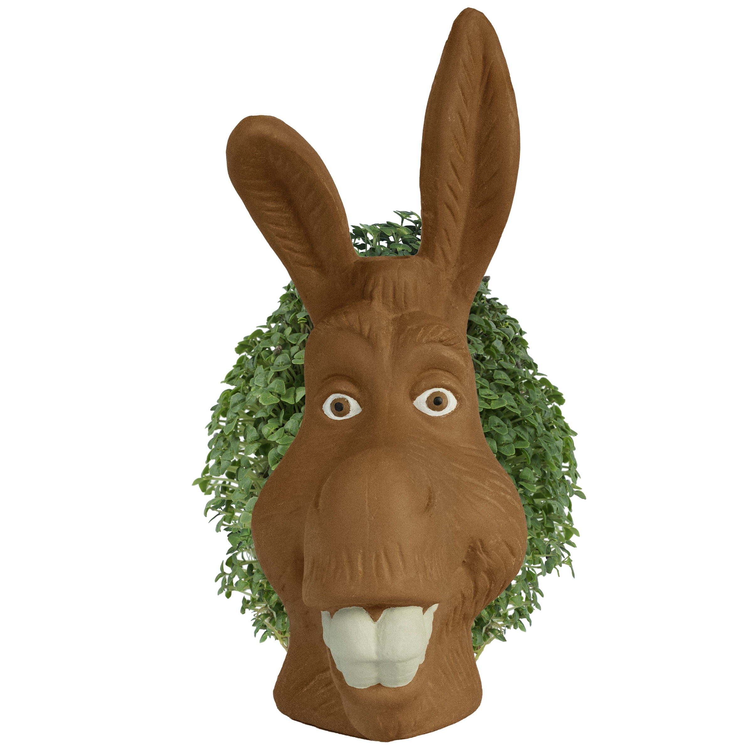 Shrek Donkey Chia Pet Handmade Decorative Planter by JEI