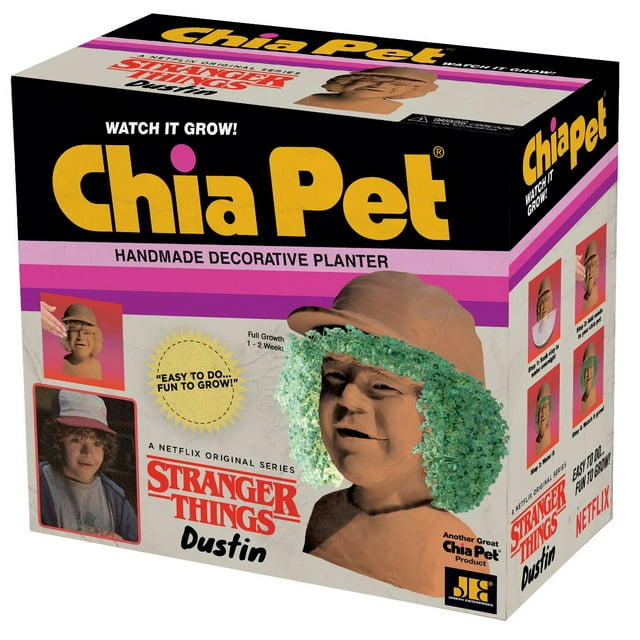 Chia Pet Dustin (Stranger Things) - Decorative Pot Easy to Do Fun to Grow Chia Seeds