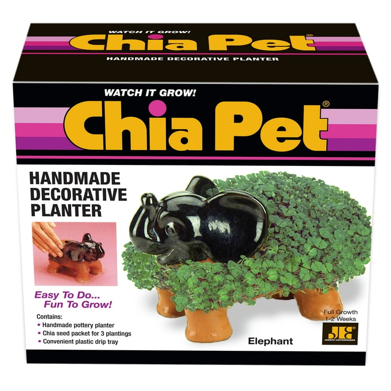 Chia Pet Elephant - Fun and Easy to Grow Decorative Pot for