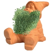 Gnome Classic Chia Pet Handmade Decorative Planter by JEI