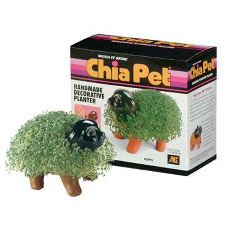 Chia - Pet Planter (Puppy) Decorative Indoor Plant Pots with Chia Seeds - Multi-Colored 1 Pack