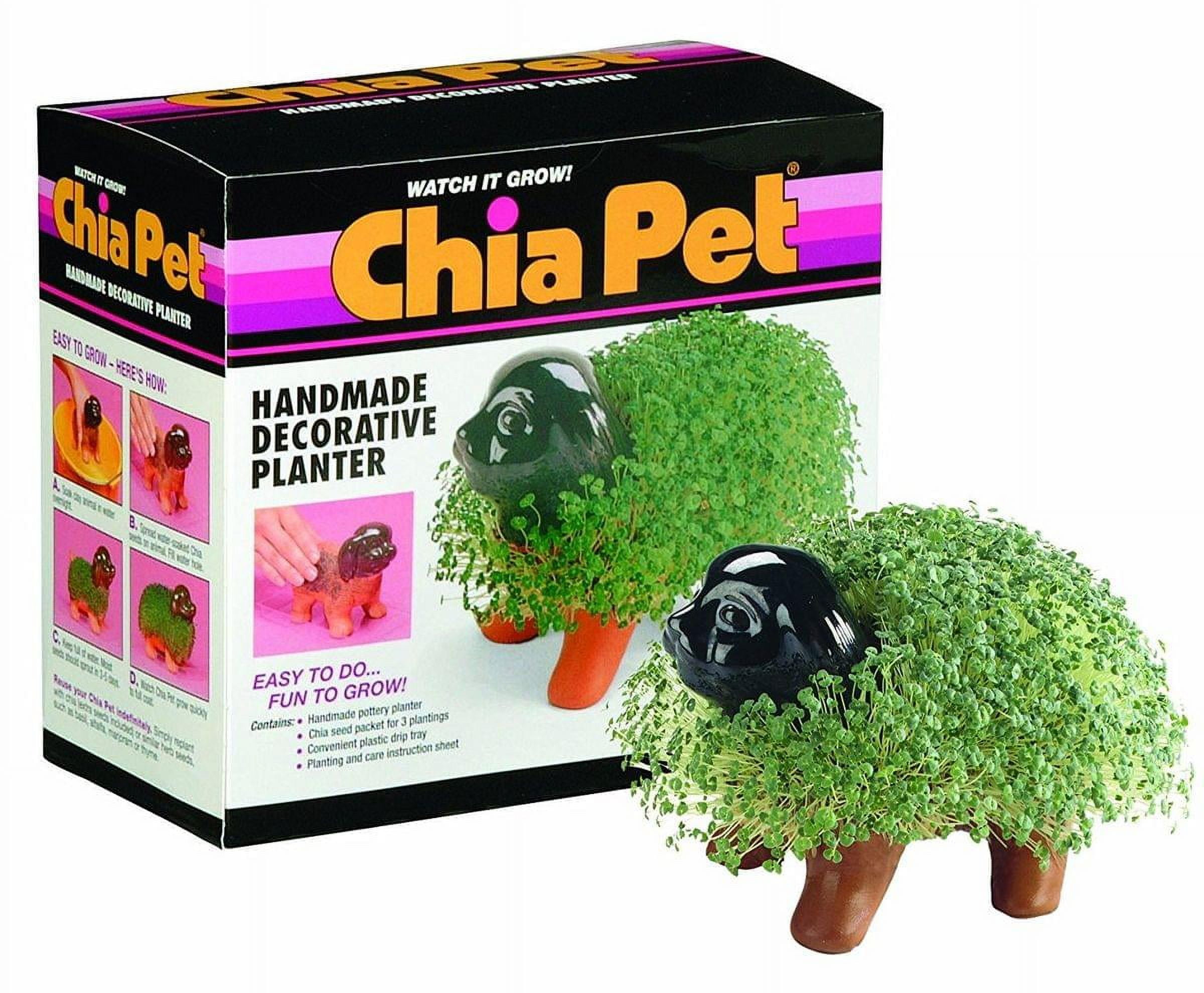 JOSEPH ENTERPRISE Chia - Pet Planter (Puppy) Decorative Indoor Plant Pots with Chia Seeds - Multi-Colored 1 Pack