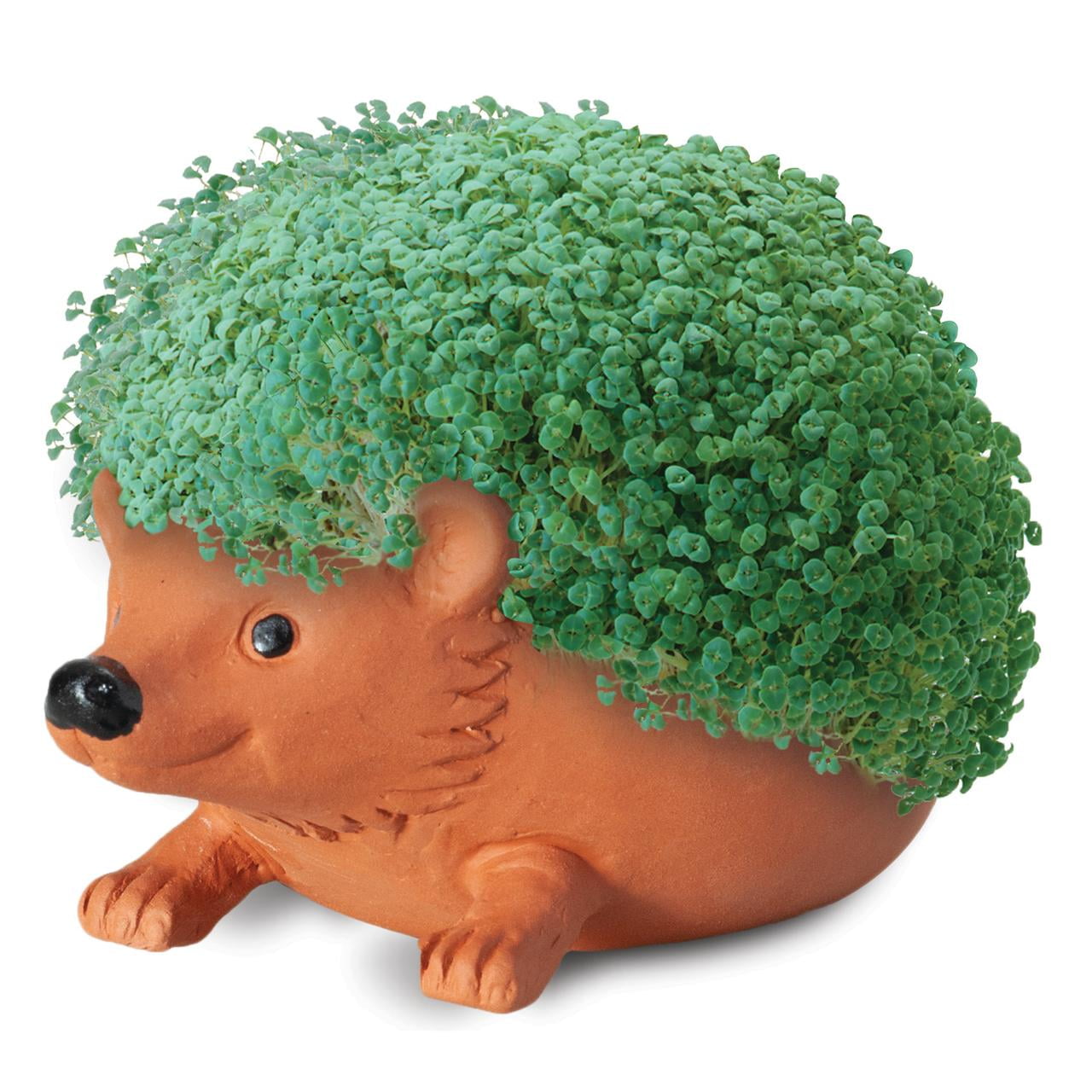 Hedgehog Classic Chia Pet Handmade Decorative Planter by JEI