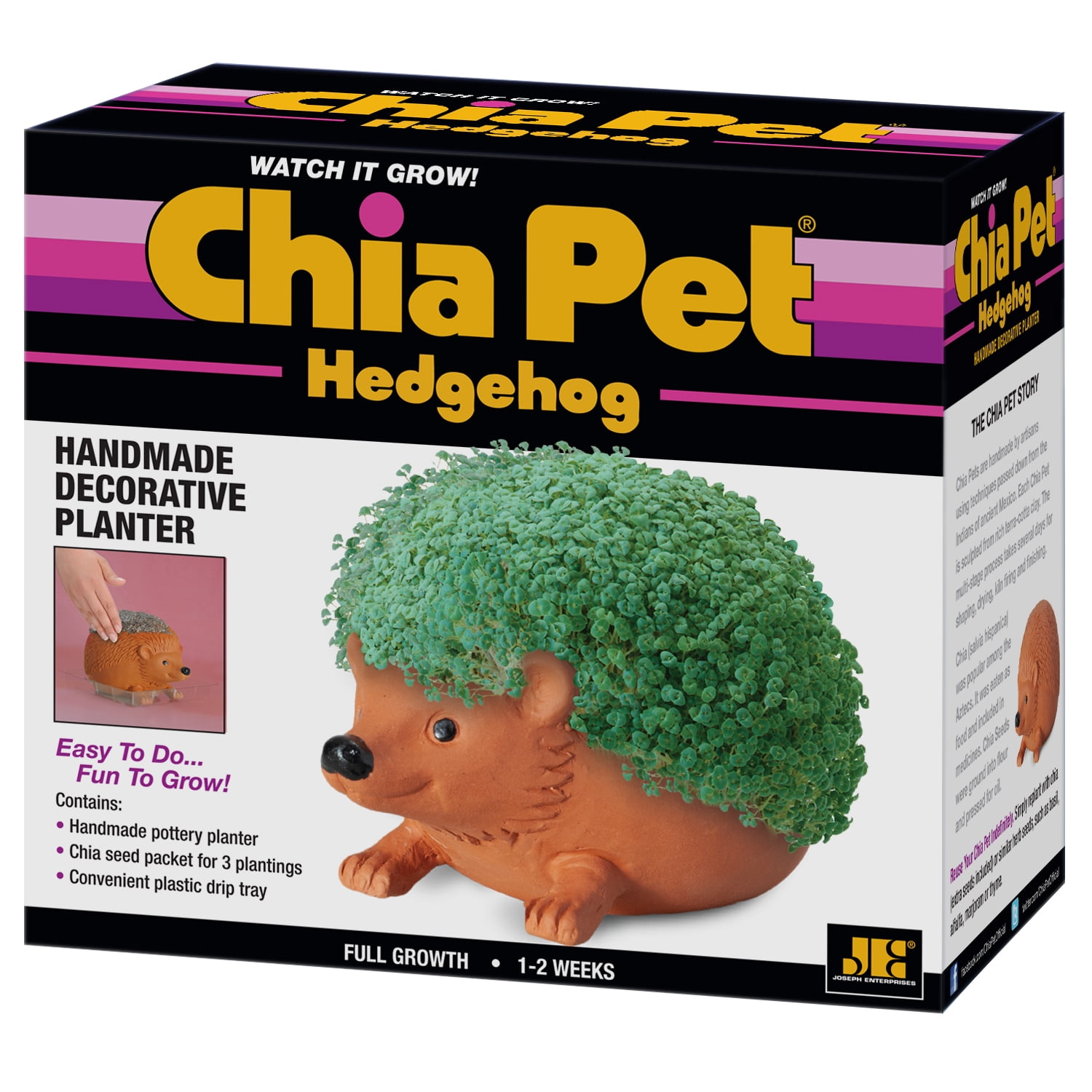 Chia Pet Hedgehog - Decorative Pot Easy to Do Fun to Grow Chia Seeds
