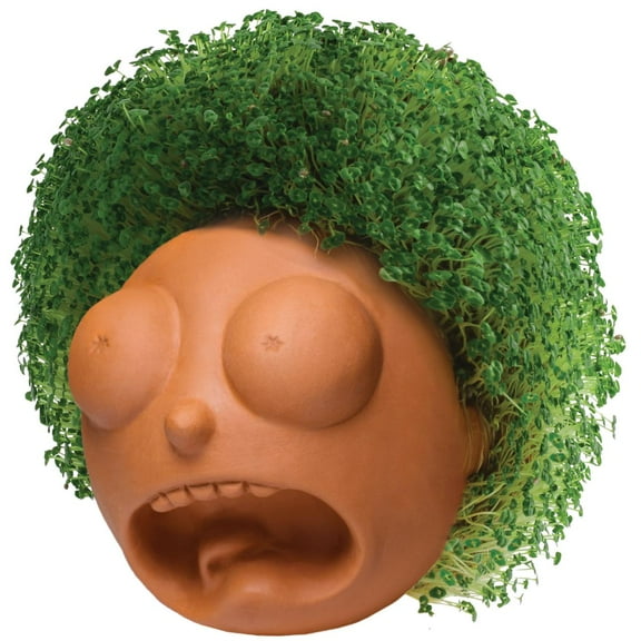 Rick & Morty Chia Morty Pet Handmade Decorative Planter by JEI
