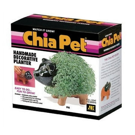 product image of Chia Pet Pig - Decorative Pot Easy to Do Fun to Grow Chia Seeds Novelty Gift