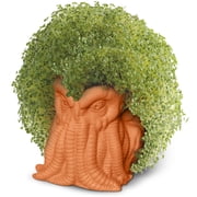Cthulhu Chia Pet Handmade Decorative Planter by JEI