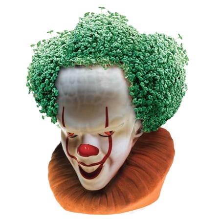 It Pennywise Chia Pet Handmade Decorative Planter by JEI