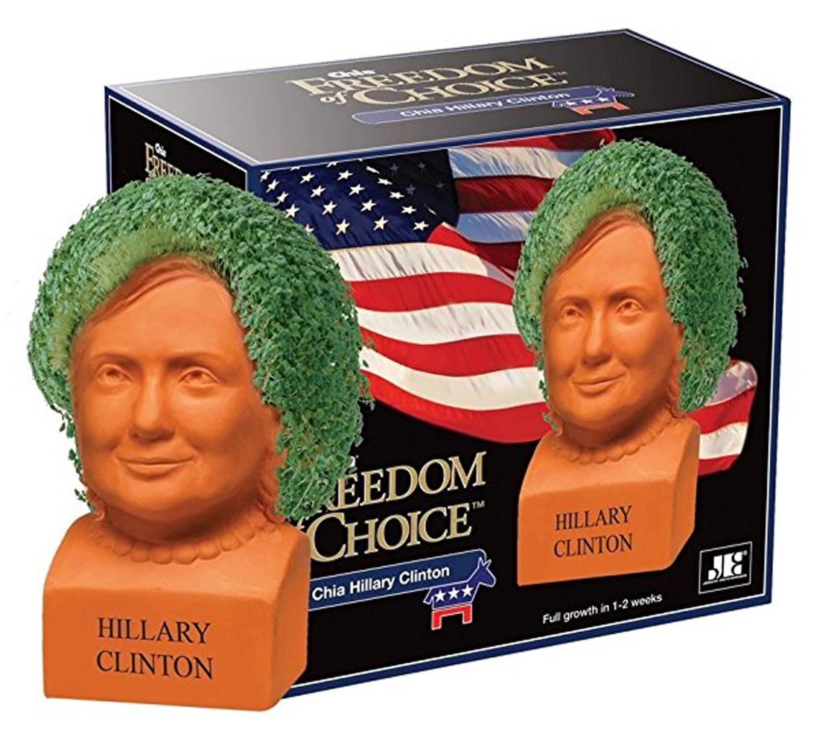 AS SEEN ON TV Chia Pet Planter Decorative Pottery Head Plant- Freedom Choice Hillary Clinton- Happy