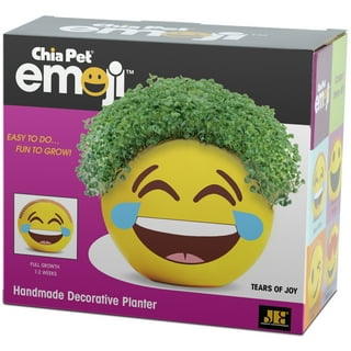 Chia Pets Characters in As Seen on TV Walmart
