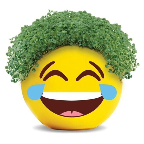 Emoji Tears of Joy Chia Pet Handmade Decorative Planter by JEI
