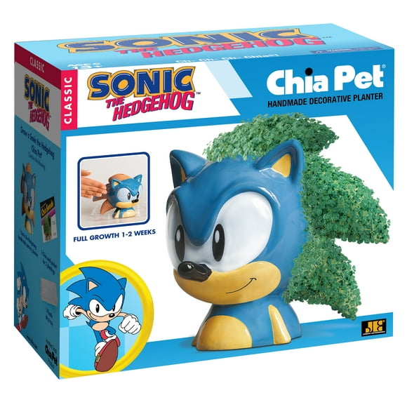 Chia Pet Planter- Hedgehog