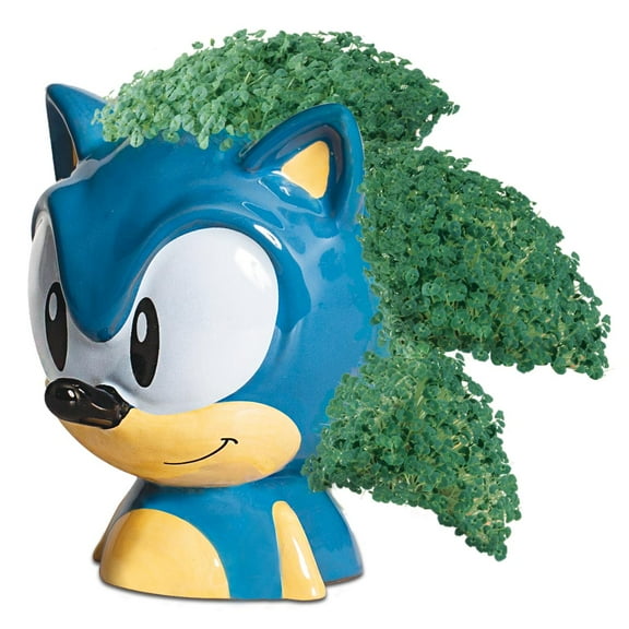 Sonic the Hedgehog Chia Pet Handmade Decorative Planter by JEI