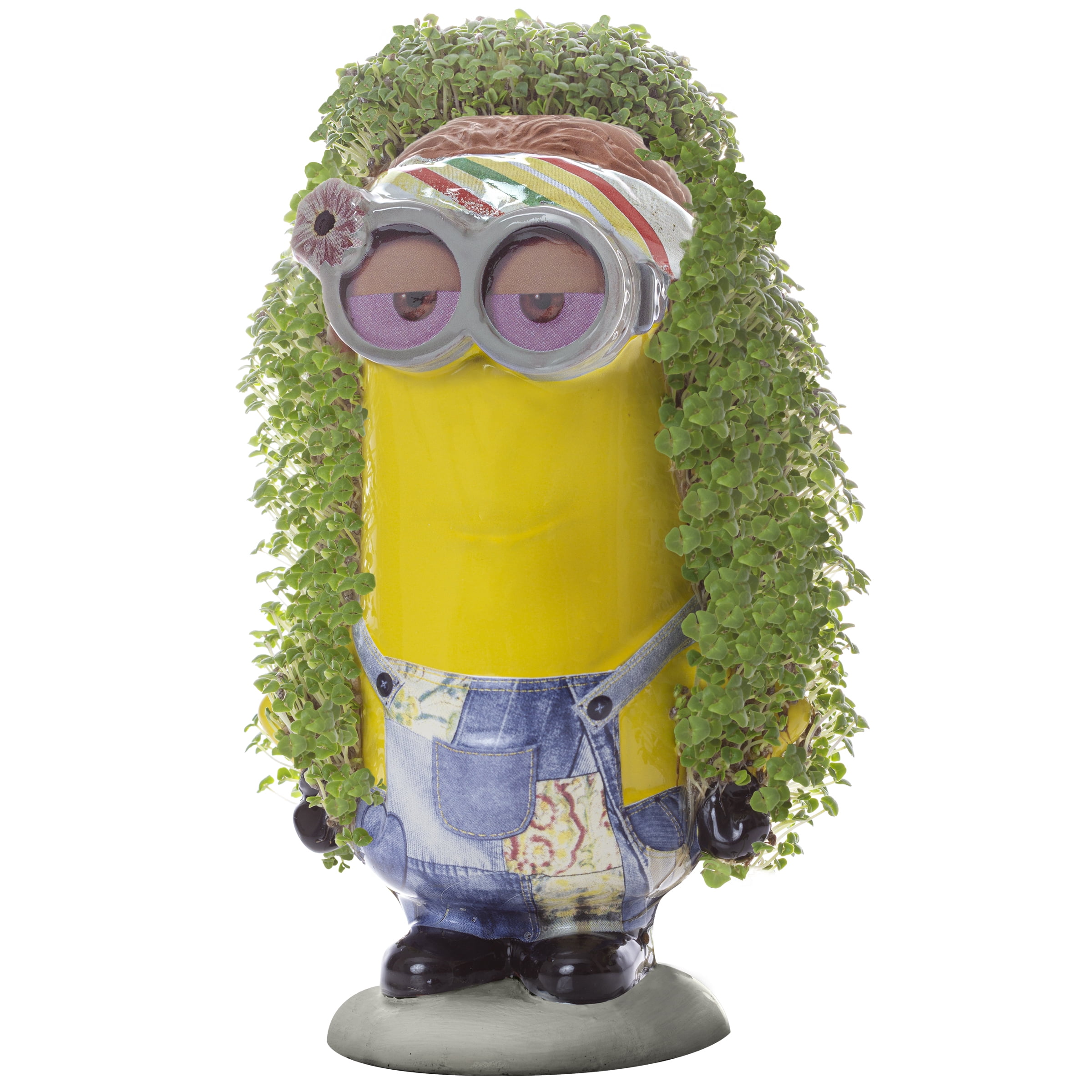 Chia - Fun & Funny Kevin Minion Chia Pet Planter, Indoor Ceramic