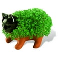 thumbnail image 1 of Kitten Classic Chia Pet Handmade Decorative Planter by JEI, 1 of 6