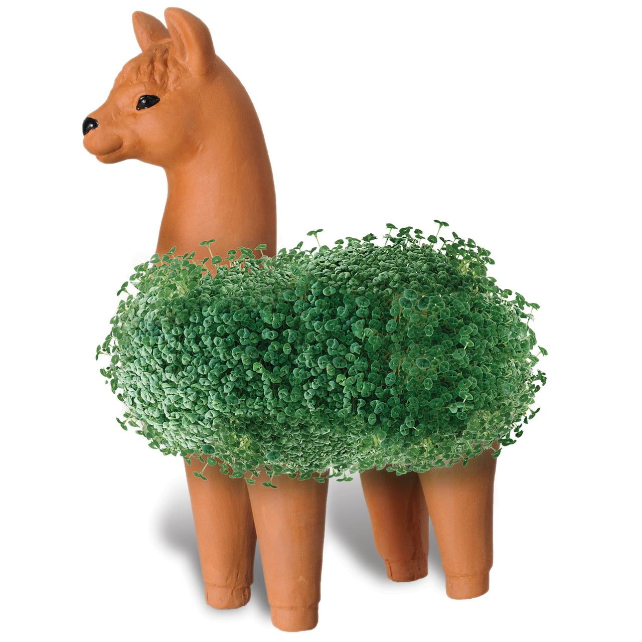 Llama Classic Chia Pet Handmade Decorative Planter by JEI