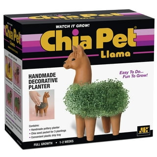 Chia Pet