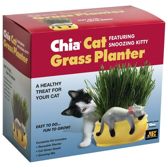 Chia - Pet Planter (Snoozy Kitty) Indoor Decorative Pot with Cat Grass Seeds - Multi-Colored 1-Pack