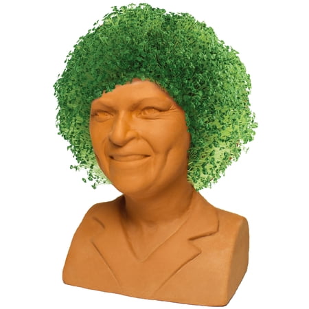 The Golden Girls Rose Chia Pet Handmade Decorative Planter by JEI