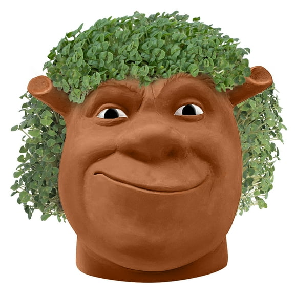 Shrek Chia Pet Handmade Decorative Planter by JEI