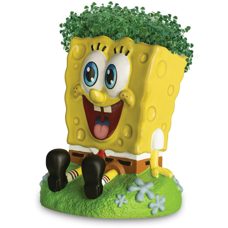 Sponge Bob Square Pants Chia Pet Handmade Decorative Planter by