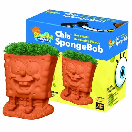As Seen on TV Chia Pets-SpongeBob, Scooby-Doo, Hello Kitty, Puppy and More