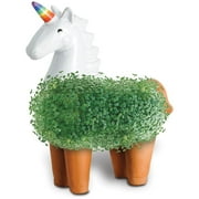 Unicorn Chia Pet Handmade Decorative Planter by JEI