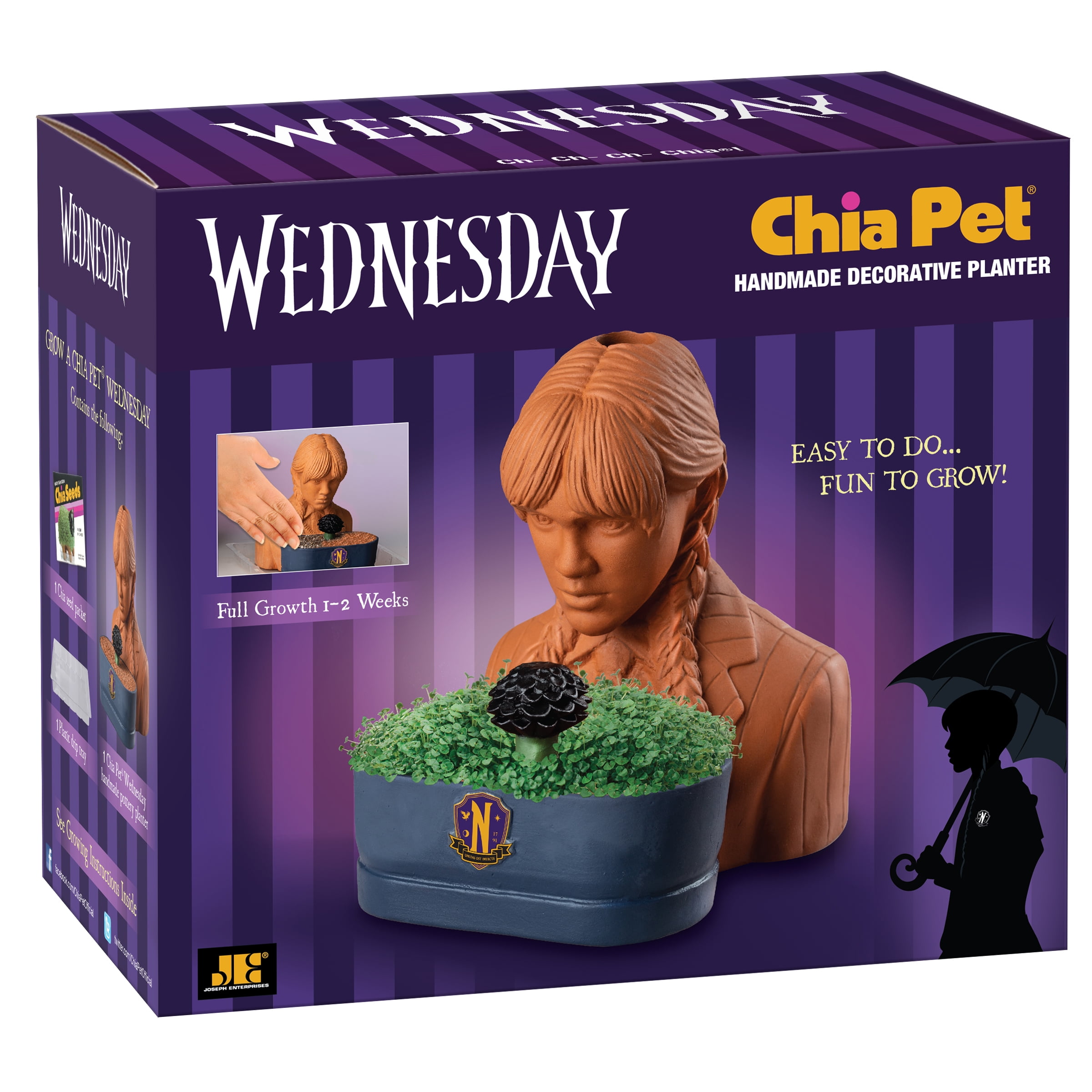 Chia Pet Wednesday (Wednesday) Handmade Decorative Planter (1 count)