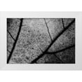 thumbnail image 1 of Chiarello, Matteo 14x11 White Modern Wood Framed Museum Art Print Titled - Streets, 1 of 4