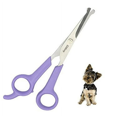 Chibuy Professional Pet Grooming Scissors with Round Tip Stainless Steel Dog Eye Cutter for Dogs and Cats, Professional Grooming Tool, Purple, Size 6.70" x 2.6" x 0.43"