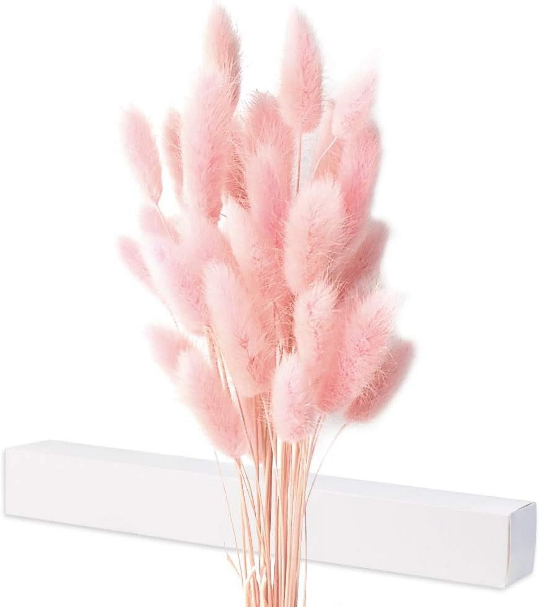 Chic Bunny Tails Dried Flowers, Timeless Natural Dried Rabbit Tail ...
