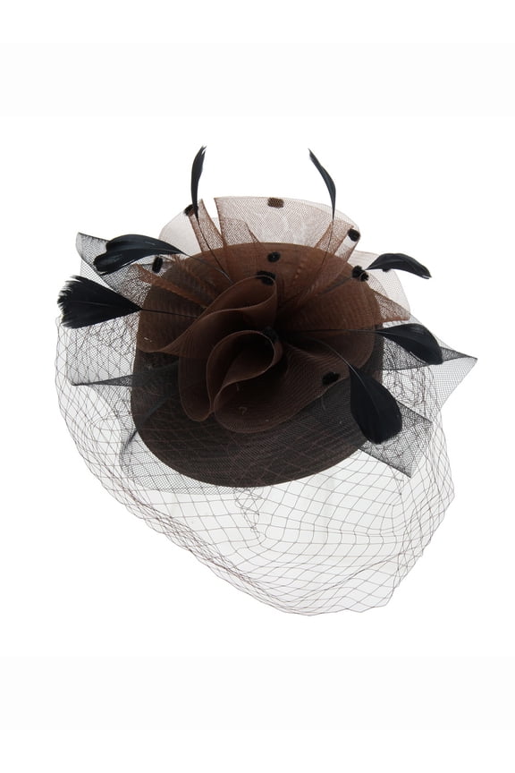 Braid Pill Hat w/ Mesh Veil and Feathers - Brown