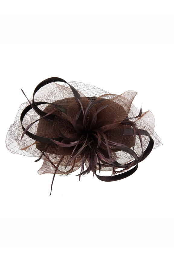 Satin Braid Pill Box w/ Mesh and Feathers - Brown