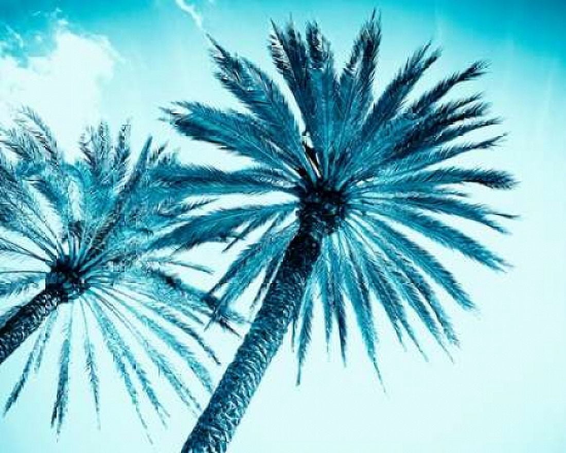 Chic Palms Canvas Art - Tai Prints (24 x 30)