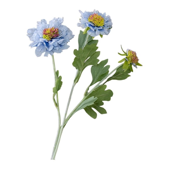 Chic Scabiosa Flower Bouquets: Timeless Elegance for Effortless Home Decor!