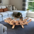 thumbnail image 1 of Chic Teak Rustic Teak Wood Root Live Edge Coffee Table including a 63" Round Glass Top, 1 of 5