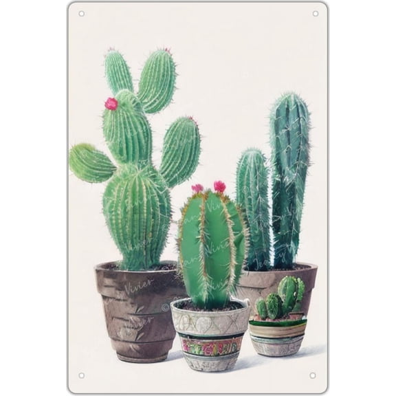 Chic Tin Sign - Cactus Wall Art, Cactus with Flowers in Mexican Floral Pot Poster, Funny Bathroom Decor Boho Style Painting Tropical Green Plant Prickly Tin for Home Decorations 12x8 Inch