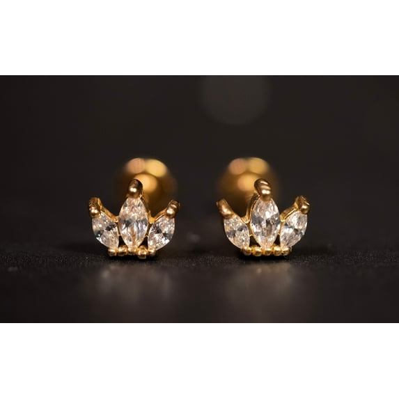 ChicBianca Crown CZ Cartilage Stud Earrings - 16G Titanium Flat Back Screw-In, Helix and Tragus Piercing, for Adult, teens, women