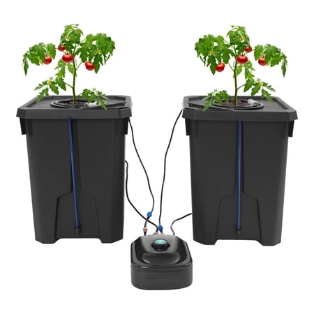 ChicHomey 2-Bucket Hydroponics Growing System,Recirculating Drip Garden System with Pump,for Growing Leafy Greens