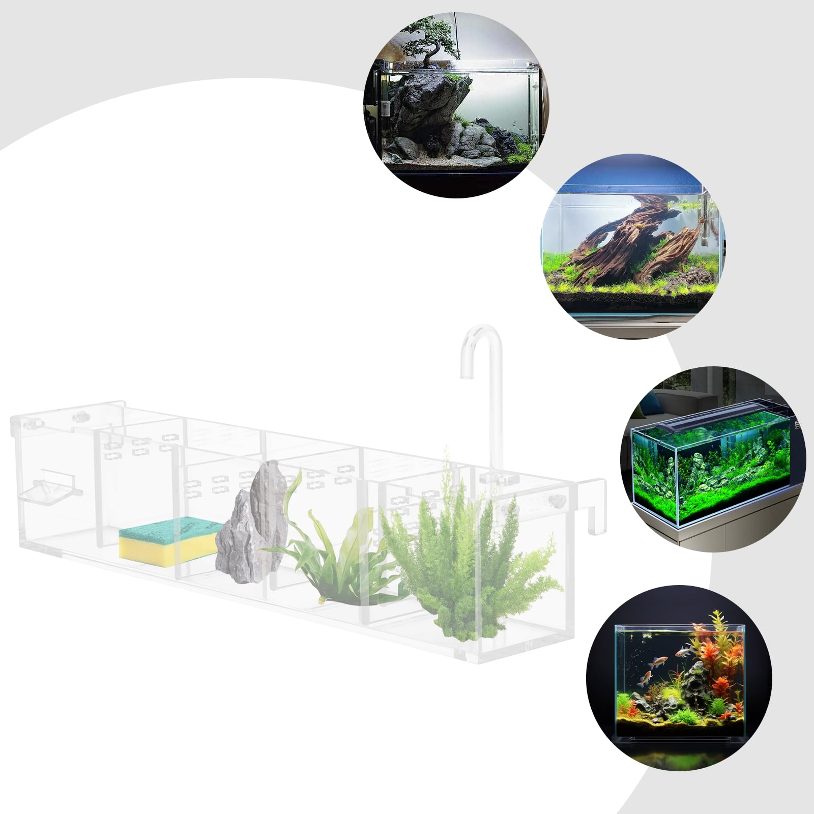 Photo inspiration: Gallery Detail: Chichomey Acrylic Aquarium Filter 5 Compartment Design For Efficient