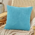 thumbnail image 1 of ChicYu 15.7*15.7 in Sofa Pillow Living Room Cushion Solid Color Velvet Lumbar Soft Bean Velvet Fabric for Back Support and Decor(Pillowcover + Insert Included), 1 of 6