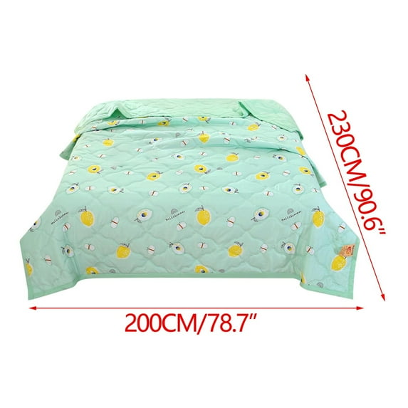 ChicYu Washed Cotton Air Conditioning Quilt Queen Size,Summer Bedding for Sensitive Skin,Breathable Thin Quilt Core AirConditioning Quilt for Summer