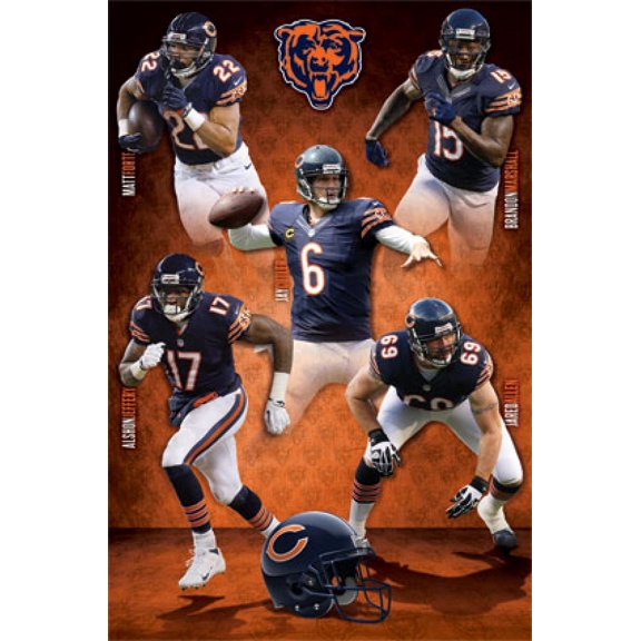 Chicago Bears - Team 14 Poster Print (24 x 36)