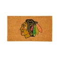 thumbnail image 1 of Chicago Blackhawks 28" x 16" Logo Turf Mat, 1 of 1