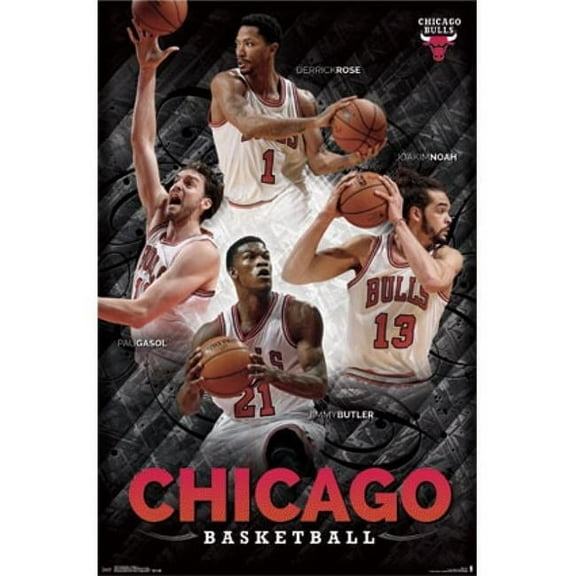 Chicago Bulls - Collage 2014 Poster Print