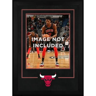 Alex Caruso Chicago Bulls Red Nike NBA "Icon Edition"