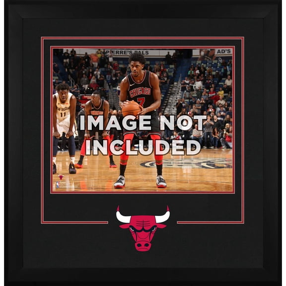 Chicago Bulls Deluxe 16" x 20" Frame